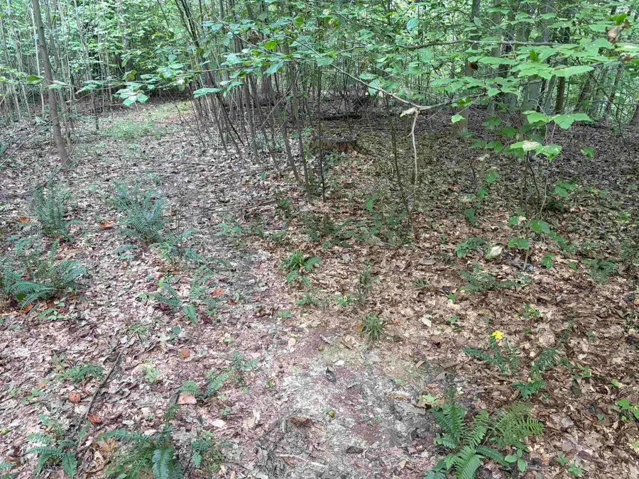 0 S Mifflin Westfork Road, English, IN 47118 - #2