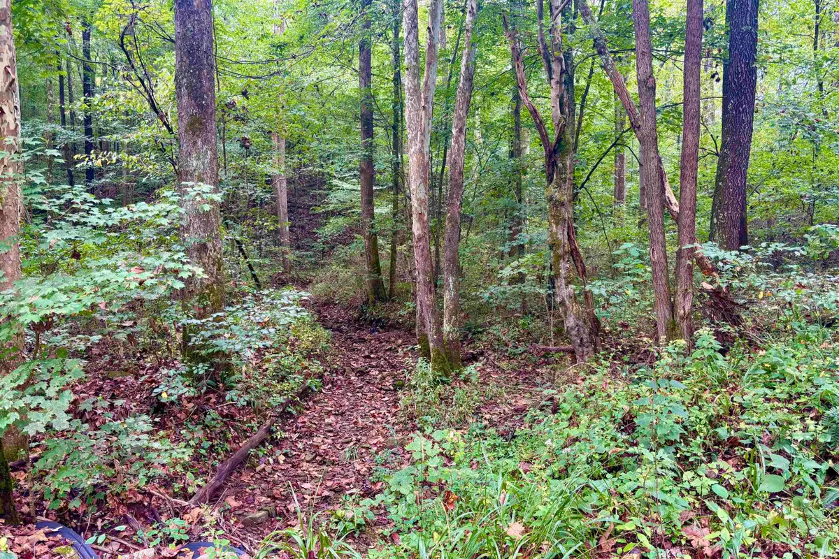 2620 S Co Rd 1000 W Road, French Lick, IN 47432 - #1