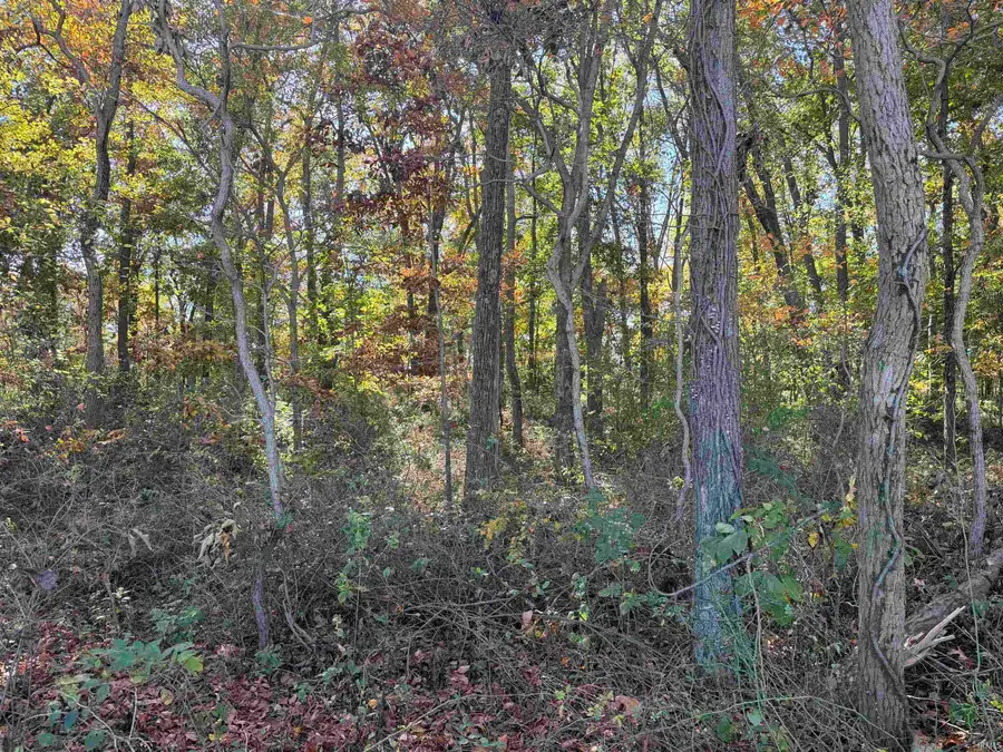 13 Acres N 900 W, Jasonville, IN 47438 - #2