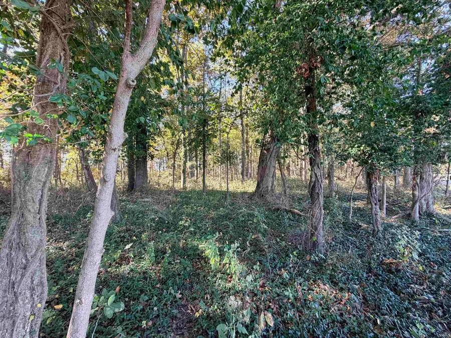 13 Acres N 900 W, Jasonville, IN 47438 - #3