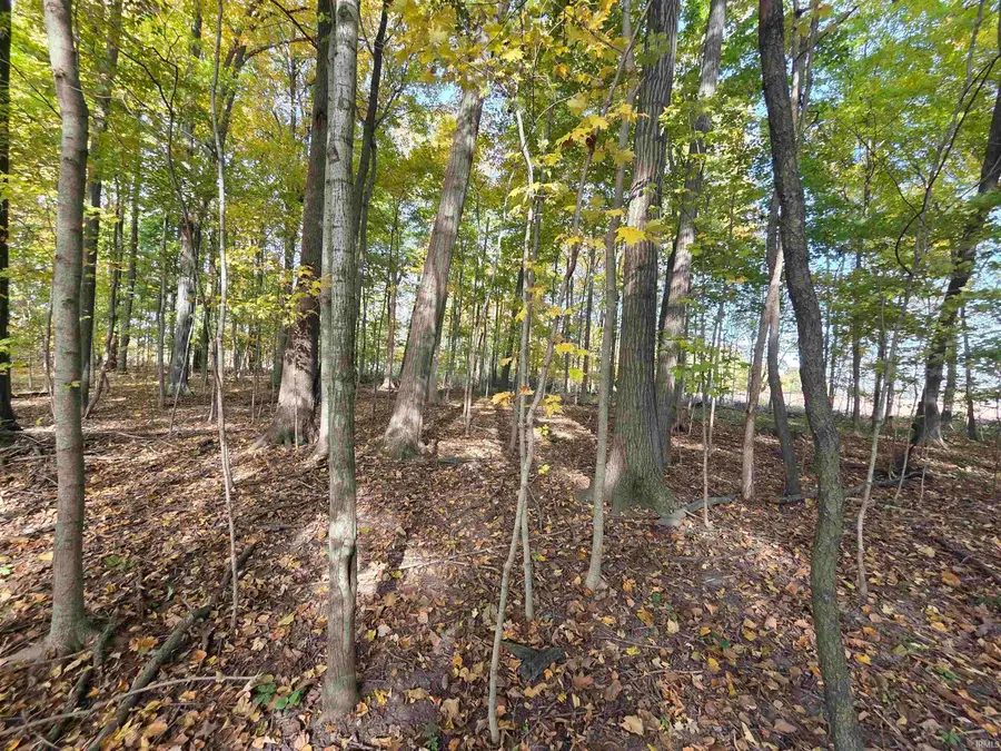 0000 Lot 1 Cr 51 Road, Butler, IN 46721 - #2