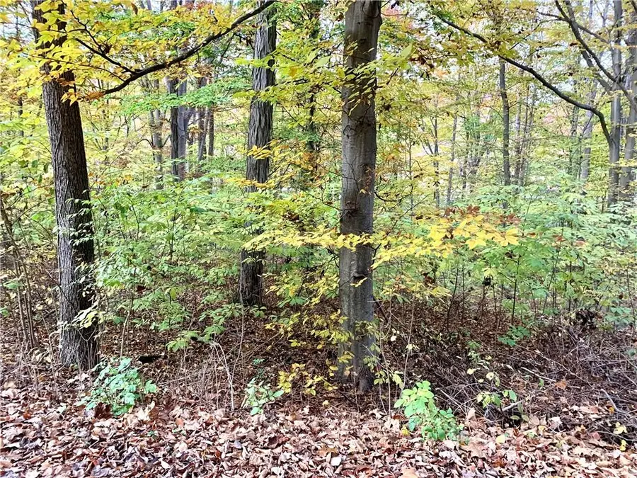 1899 Park Hill Drive, Spencer, IN 47460 - Image #3