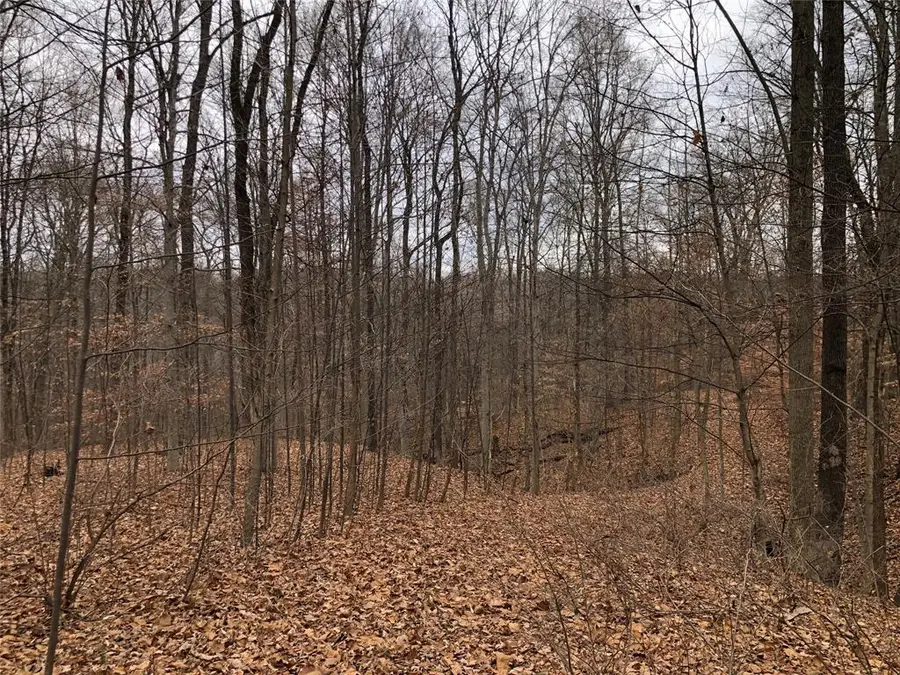 3520 Morgan Oaks Court, Martinsville, IN 46151 - Image #2