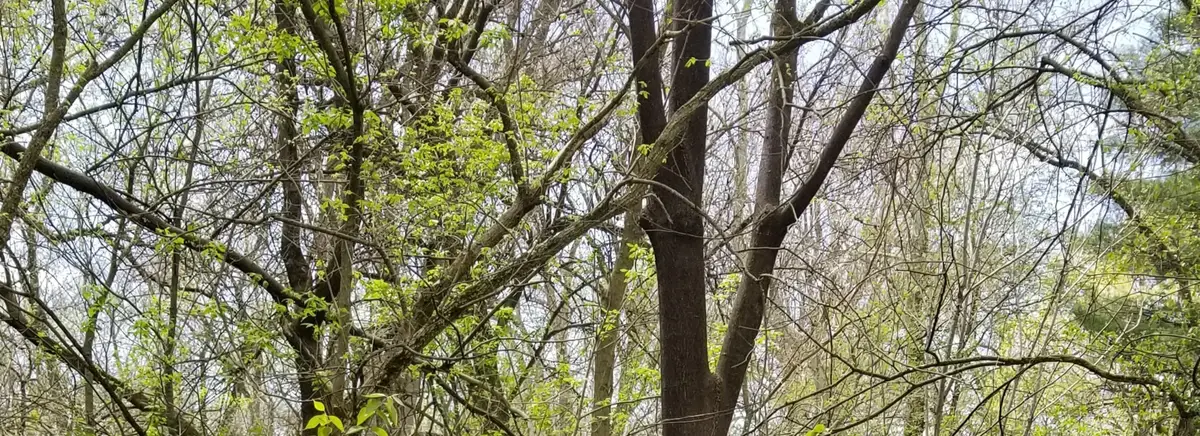 7916 N Keystone Avenue, Indianapolis, IN 46240 - Image #1