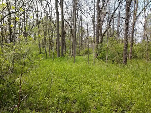 LOT 253 Ottawa Street, Crawfordsville, IN 47933