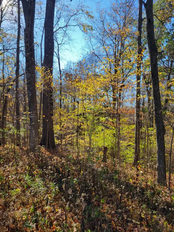 00 Valley Drive Drive, Greencastle, IN 46135