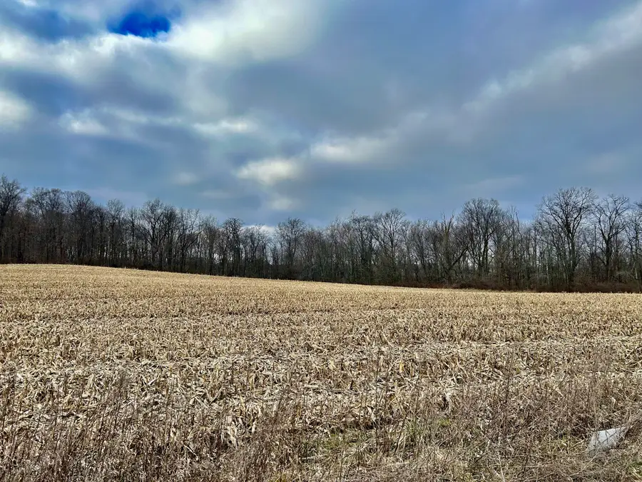 0 St Rd 167, Albany, IN 47320 - Image #3