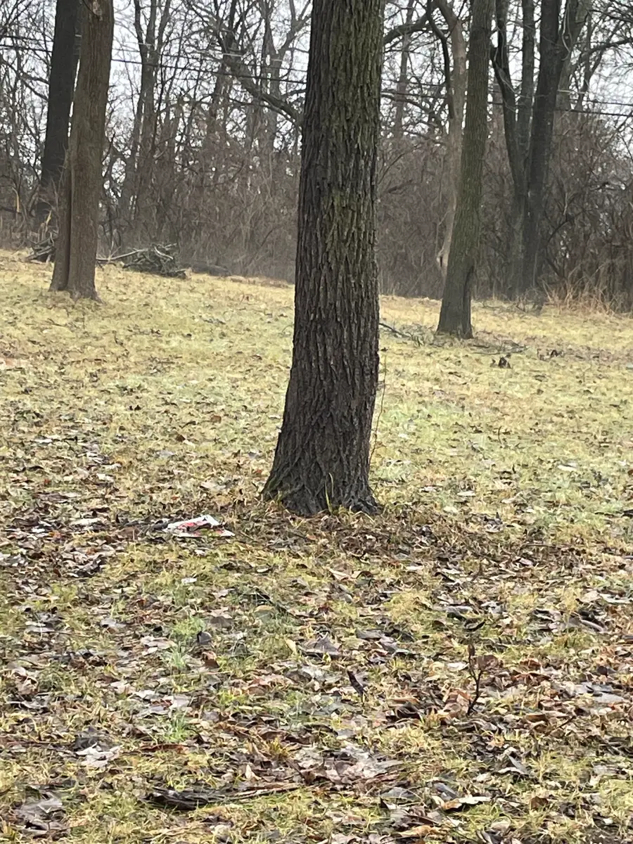 1831 Luther Street, Indianapolis, IN 46203 - Image #2