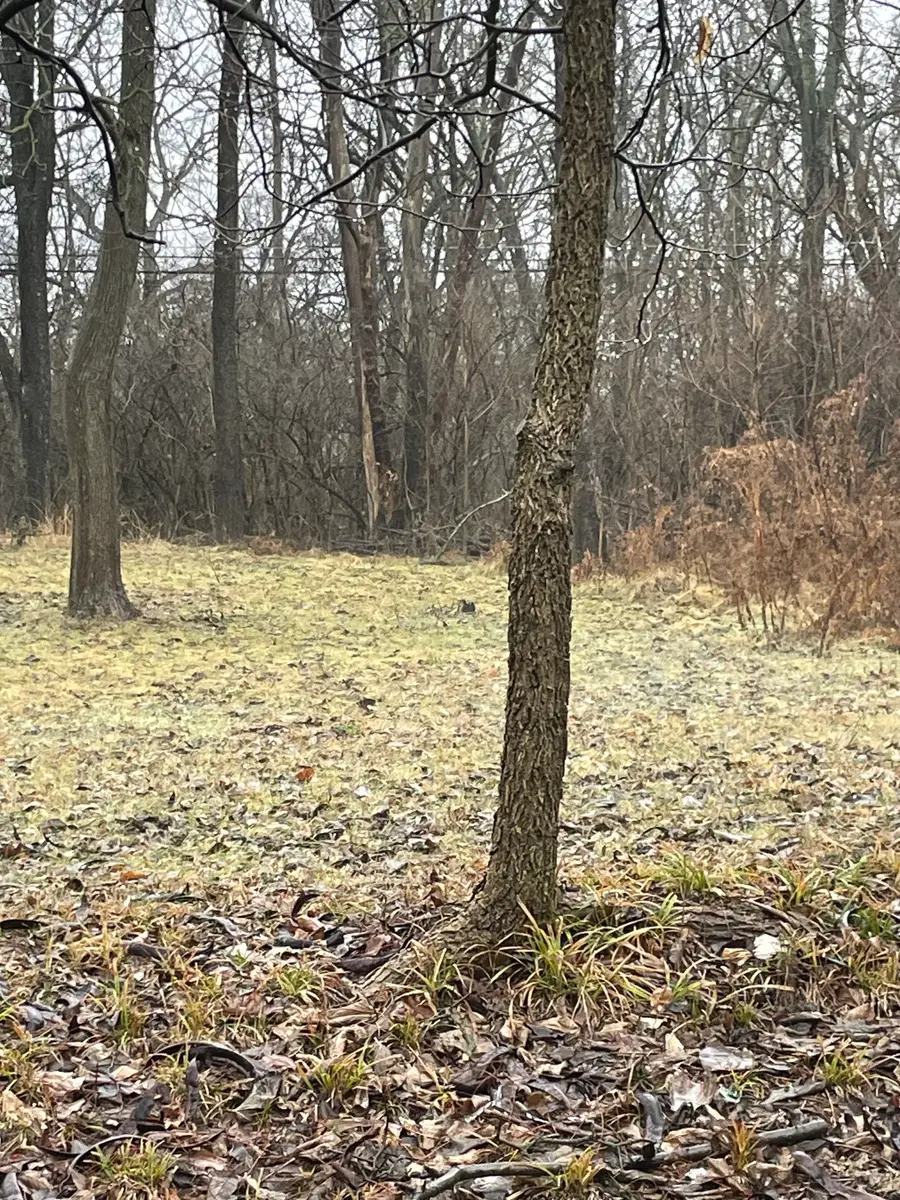 1833 Luther Street, Indianapolis, IN 46203 - Image #3