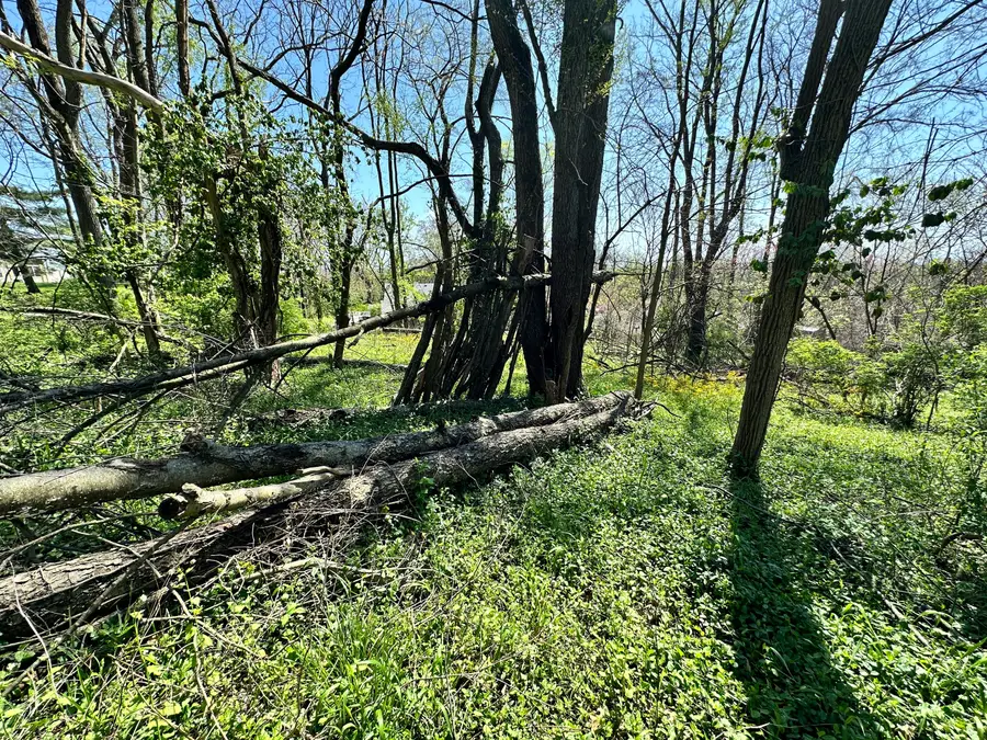 0 E Cunningham Street, Martinsville, IN 46151 - Image #3