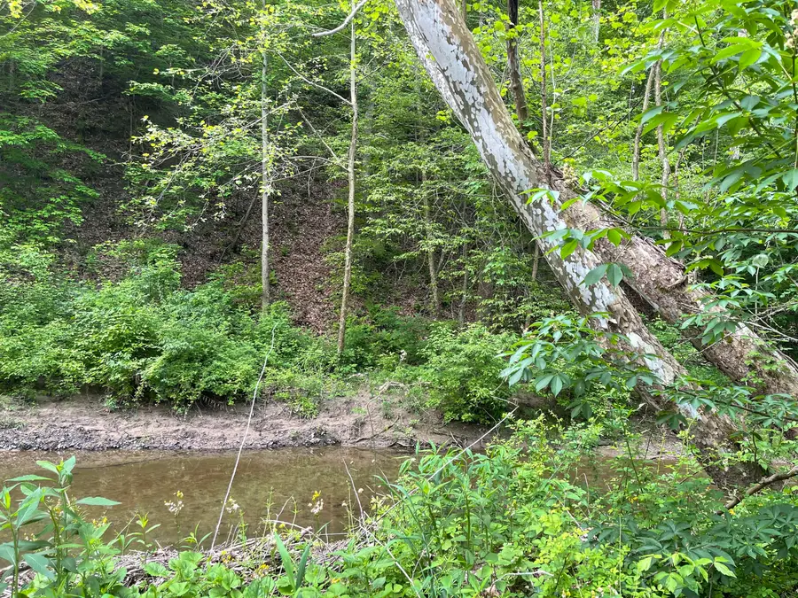 5245 Upper Patton Park Road, Martinsville, IN 46151 - Image #3