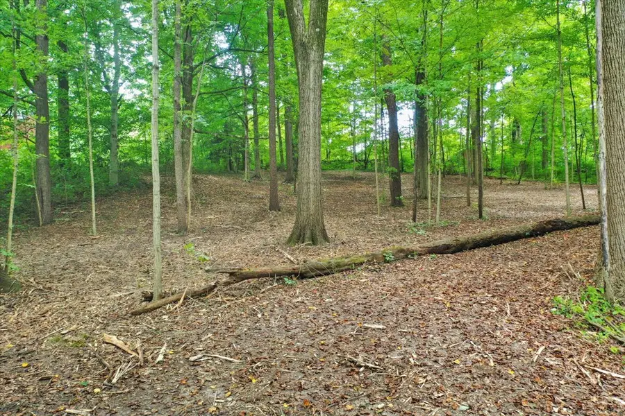 4820 Fauna Lane, Indianapolis, IN 46234 - Image #3