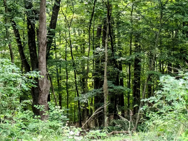 0 N. Shuffle Creek Rd N Shuffle Creek Road, Unionville, IN 47468