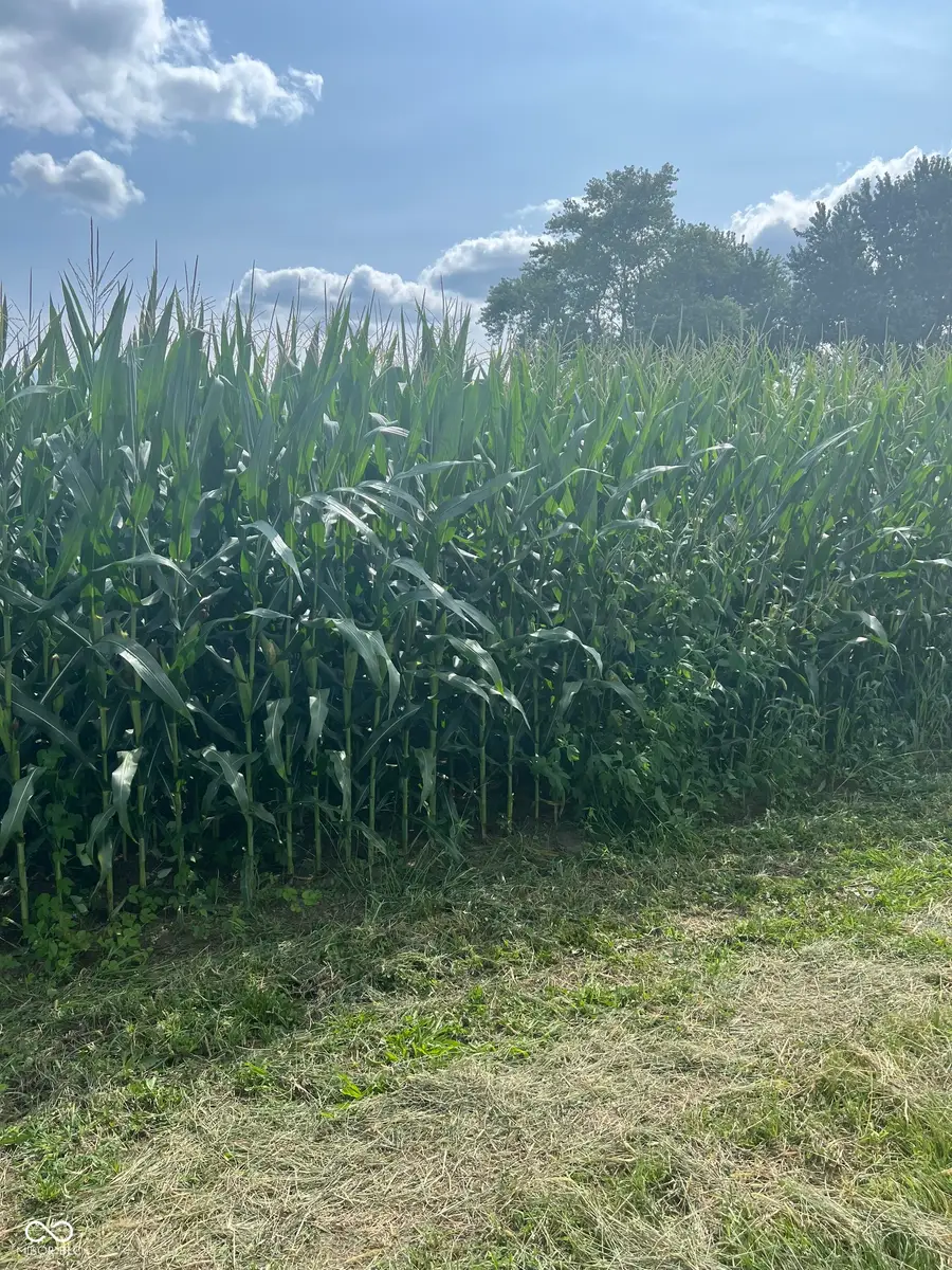 00 W Smokey Row Road, Greenwood, IN 46143 - #3