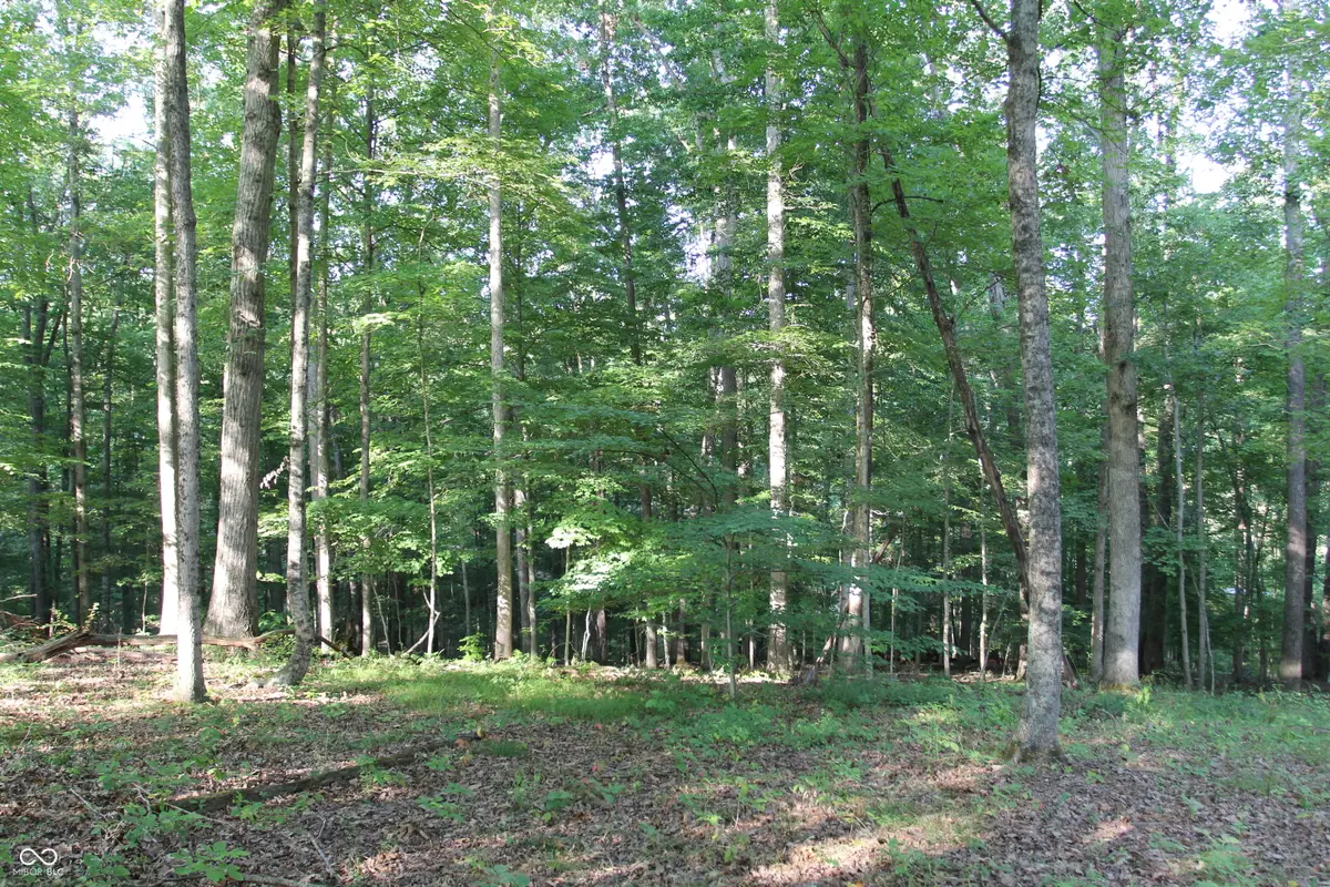 Lot 20 Ridgeway Drive, Nashville, IN 47448 - Image #1