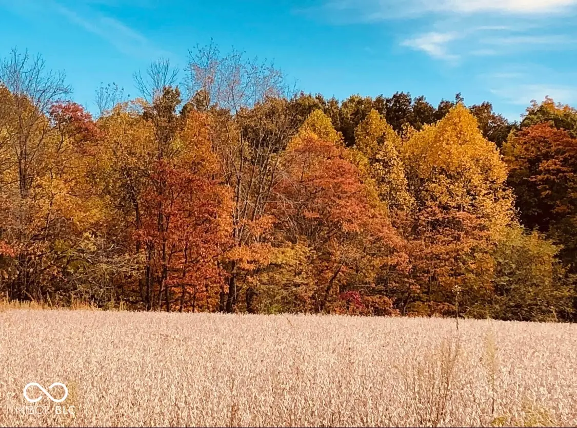 9691 N Bowman Road, Gosport, IN 47433 - Image #1