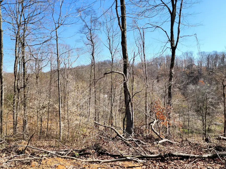 0 Goat Hollow Estates Lot 1, Martinsville, IN 46151 - Image #3