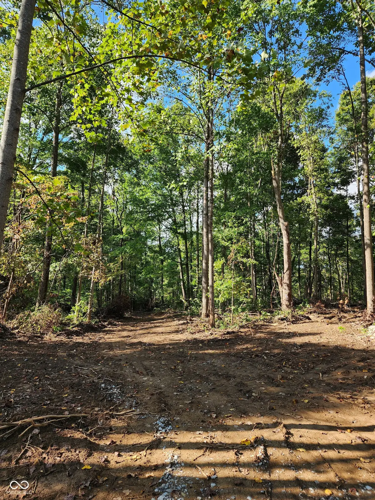 Tract 4 Port Williams Road, Williams, IN 47470 - Image #1