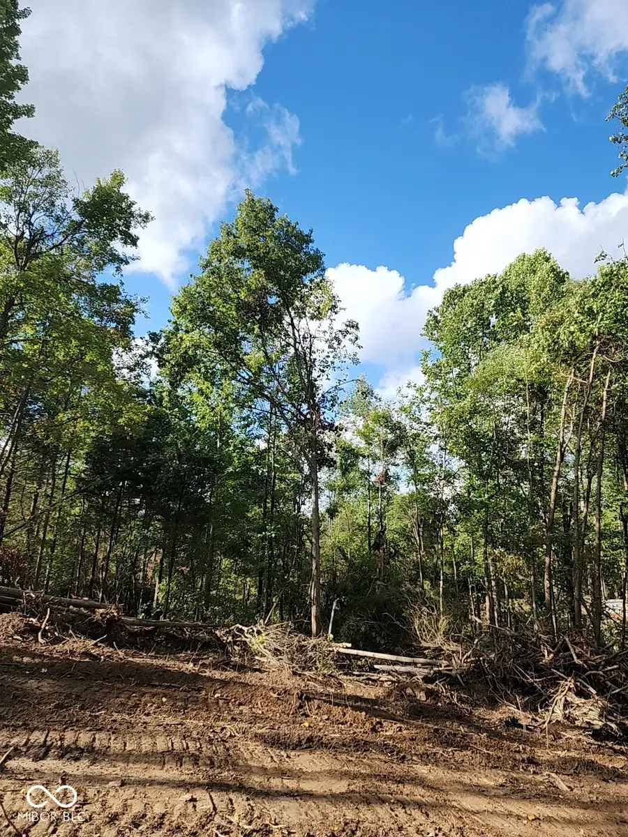 Tract 4 Port Williams Road, Williams, IN 47470 - Image #2