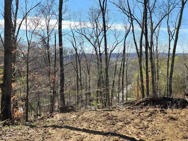 Lot 5 Goat Hollow Estates, Martinsville, IN 46151