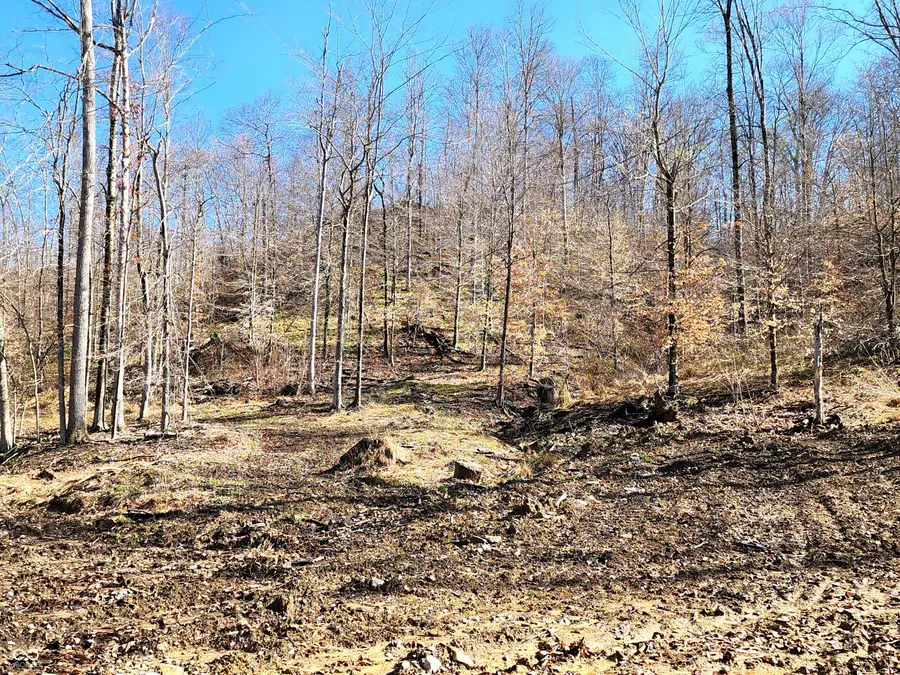 Lot 5 Goat Hollow Estates, Martinsville, IN 46151 - Image #3