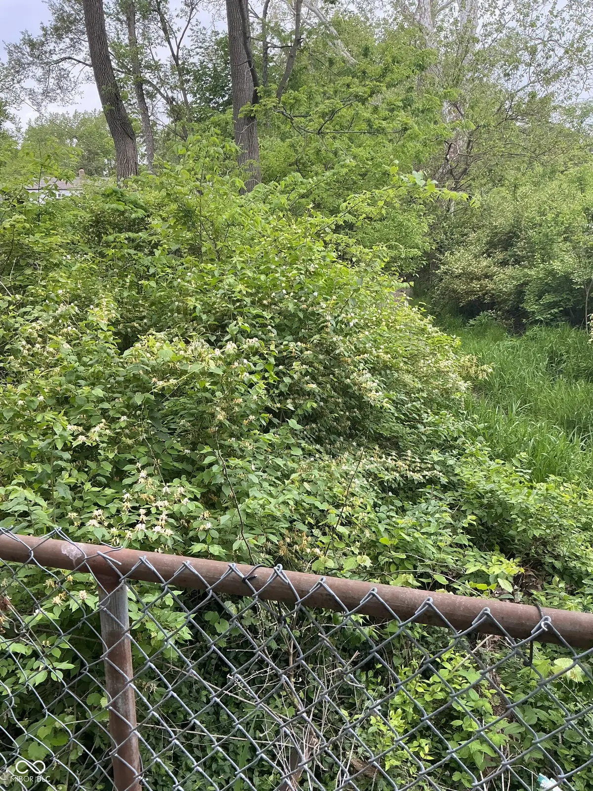 1943 Dequincy Street, Indianapolis, IN 46218 - Image #1