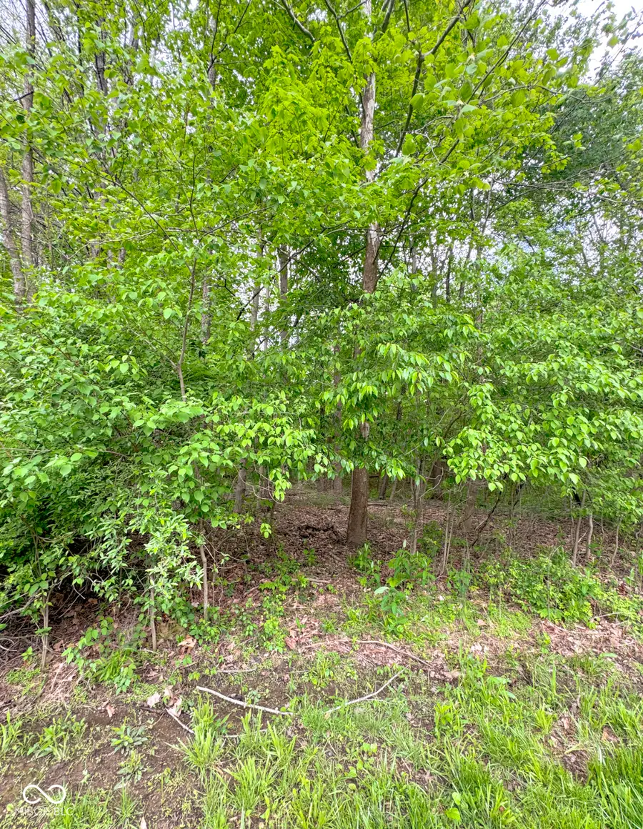 1555 Fox Cross Drive, Martinsville, IN 46151 - Image #2