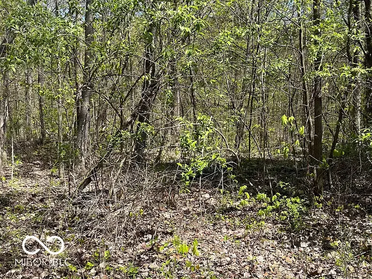 0 Cottonwood Road, Morgantown, IN 46160 - Image #1