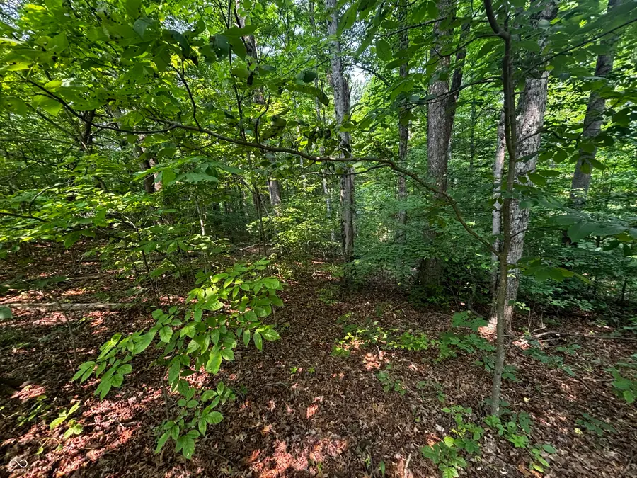 8612 Center Lake Road, Nineveh, IN 46164 - Image #2