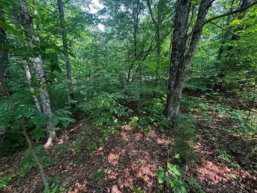 8612 Center Lake Road, Nineveh, IN 46164 - Image #3