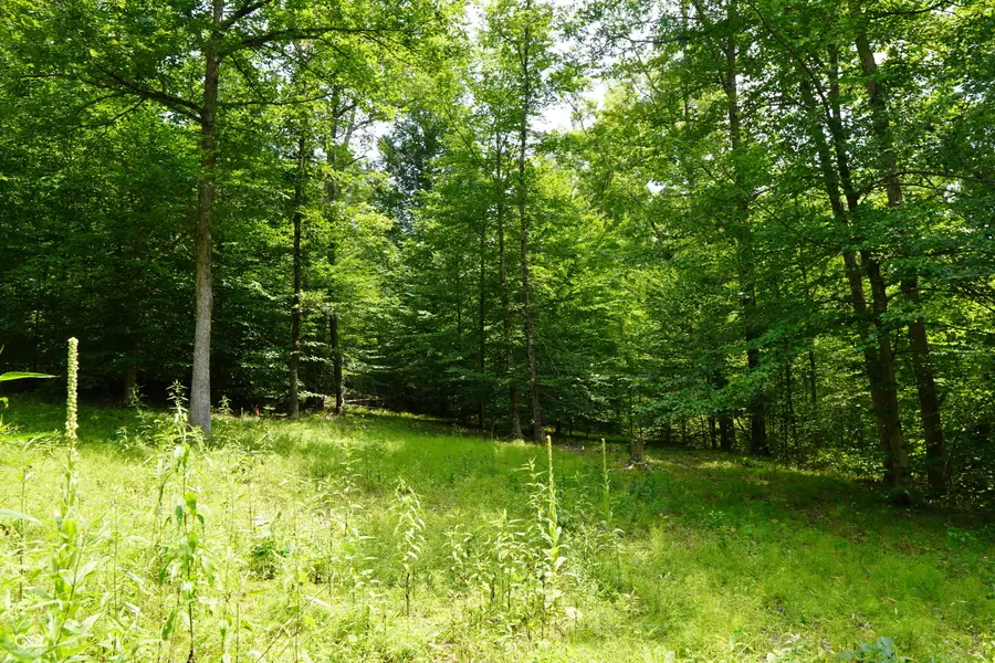 x Brown Hill Road, Nashville, IN 47448 - Image #3