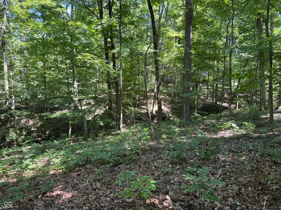 X Fox Court, Nineveh, IN 46164 - Image #2