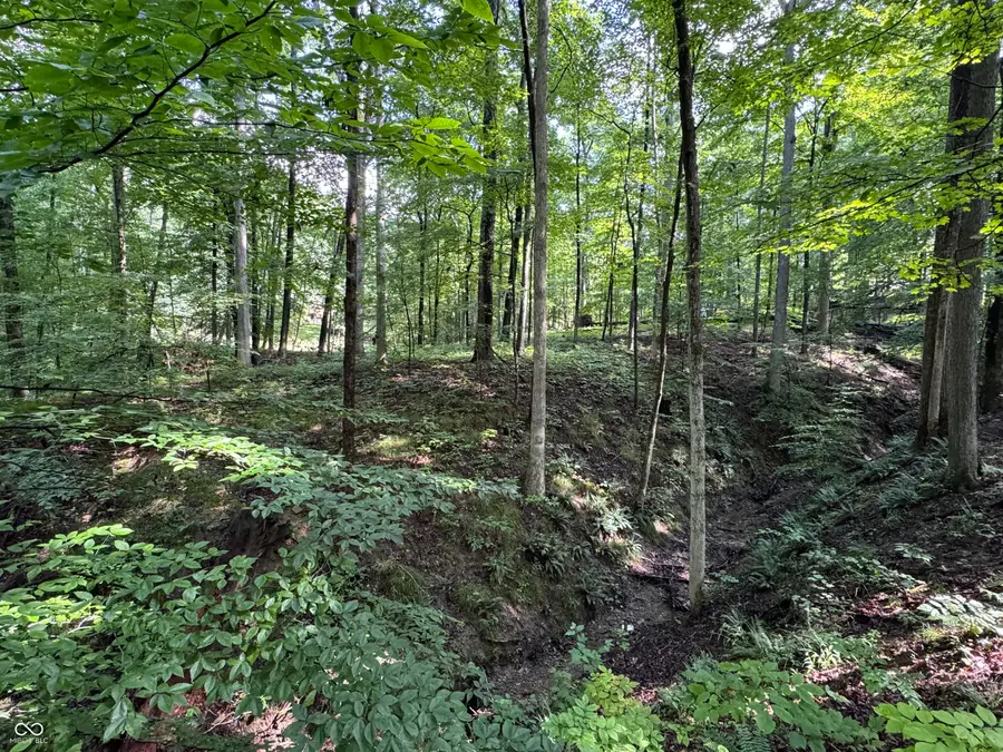 X Fox Court, Nineveh, IN 46164 - Image #3