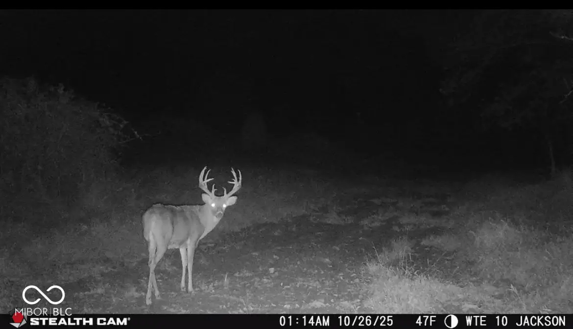 2000 Block W 1125 N, Freetown, IN 47235 - Image #1