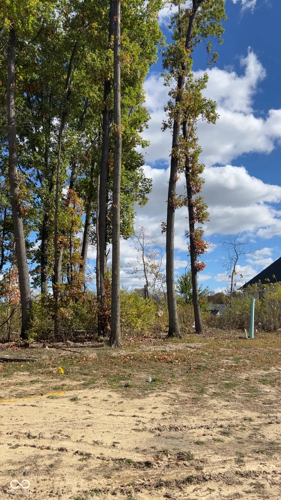 3725 Holliday Farms Boulevard, Zionsville, IN 46077 - Image #2