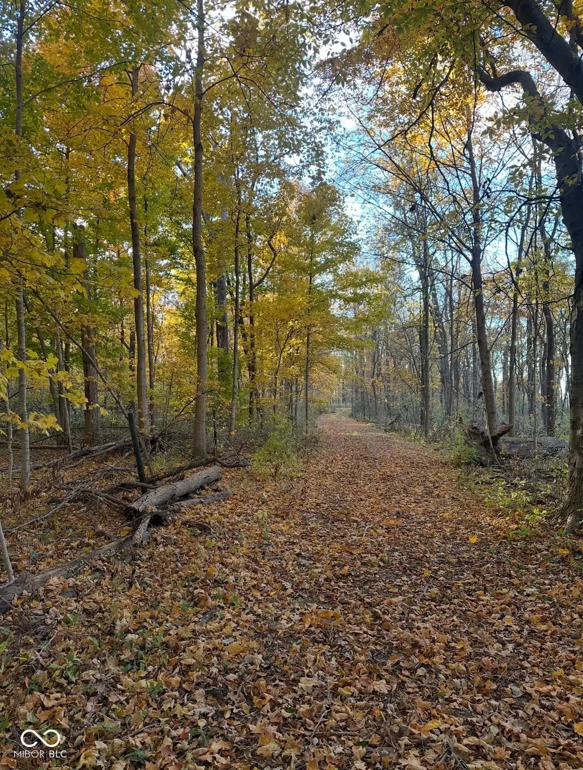 0 Cyntheanne Road, Noblesville, IN 46060 - Image #1