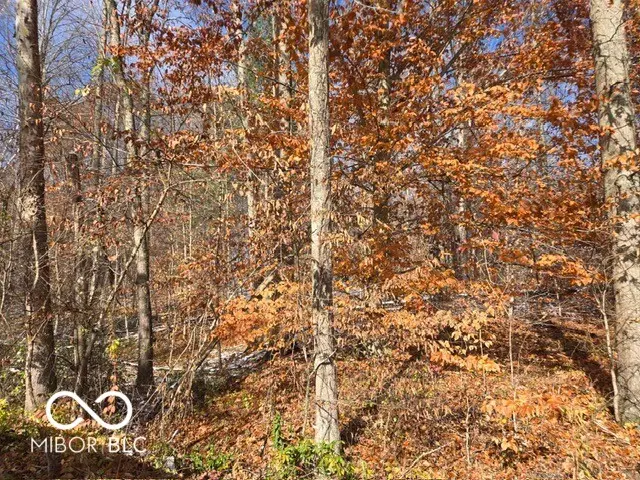 0 N Shore Drive, Unionville, IN 47468 - Image #2