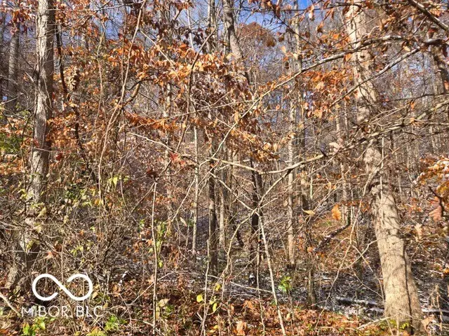 0 N Shore Drive, Unionville, IN 47468 - Image #3