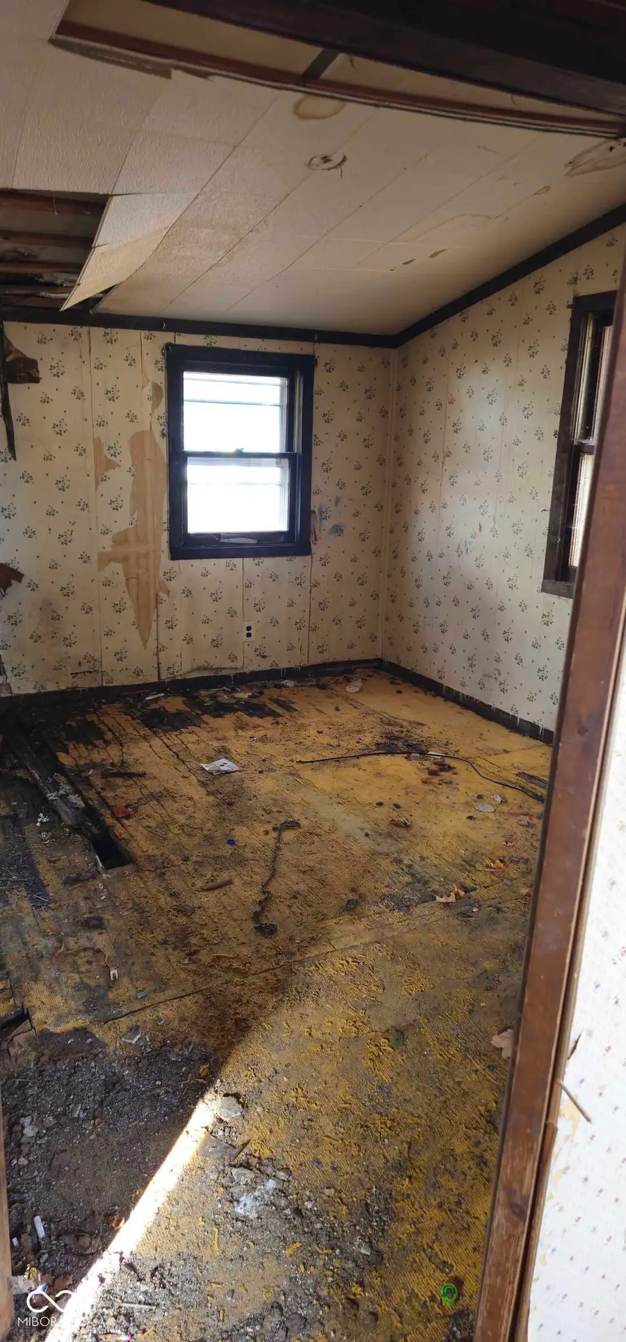 302 E 6th Street, Alexandria, IN 46001 - Image #3