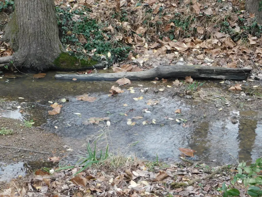 5796 S 200 W, Vallonia, IN 47281 - Image #3