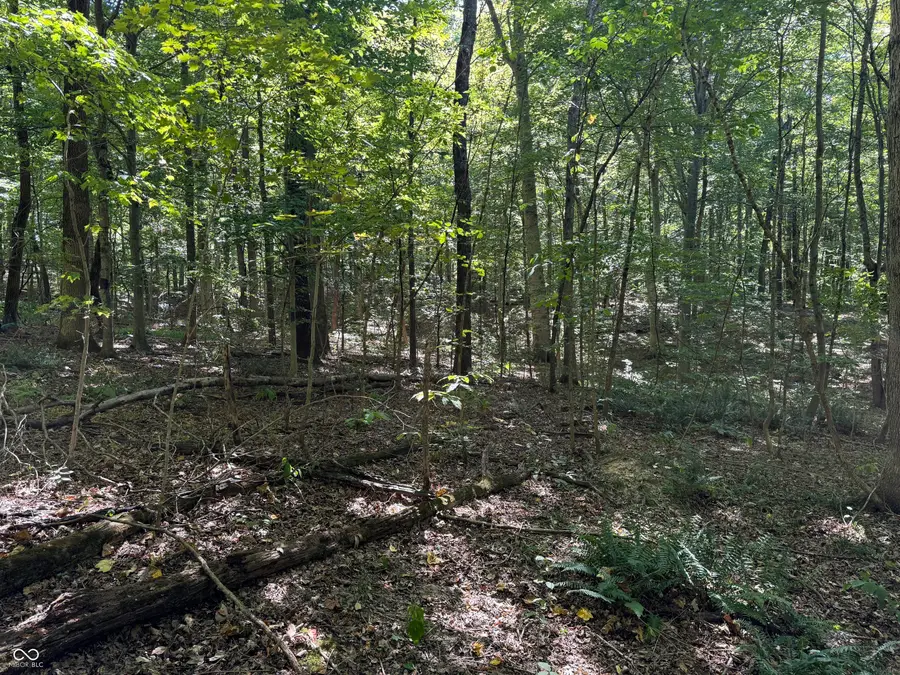 0000 E Big Springs Road, Pekin, IN 47165 - Image #2