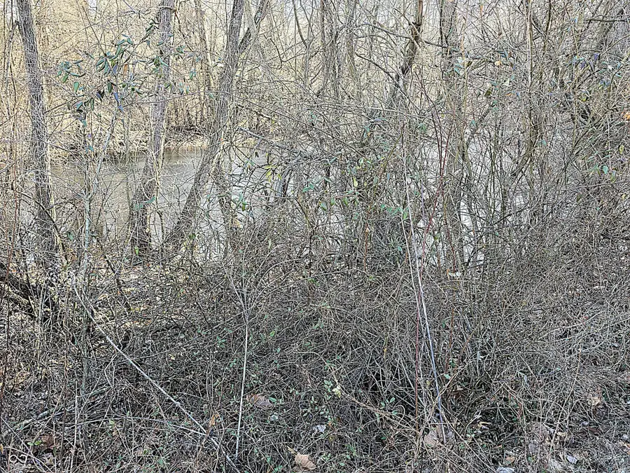 0 N Baltimore Road, Monrovia, IN 46157 - Image #2