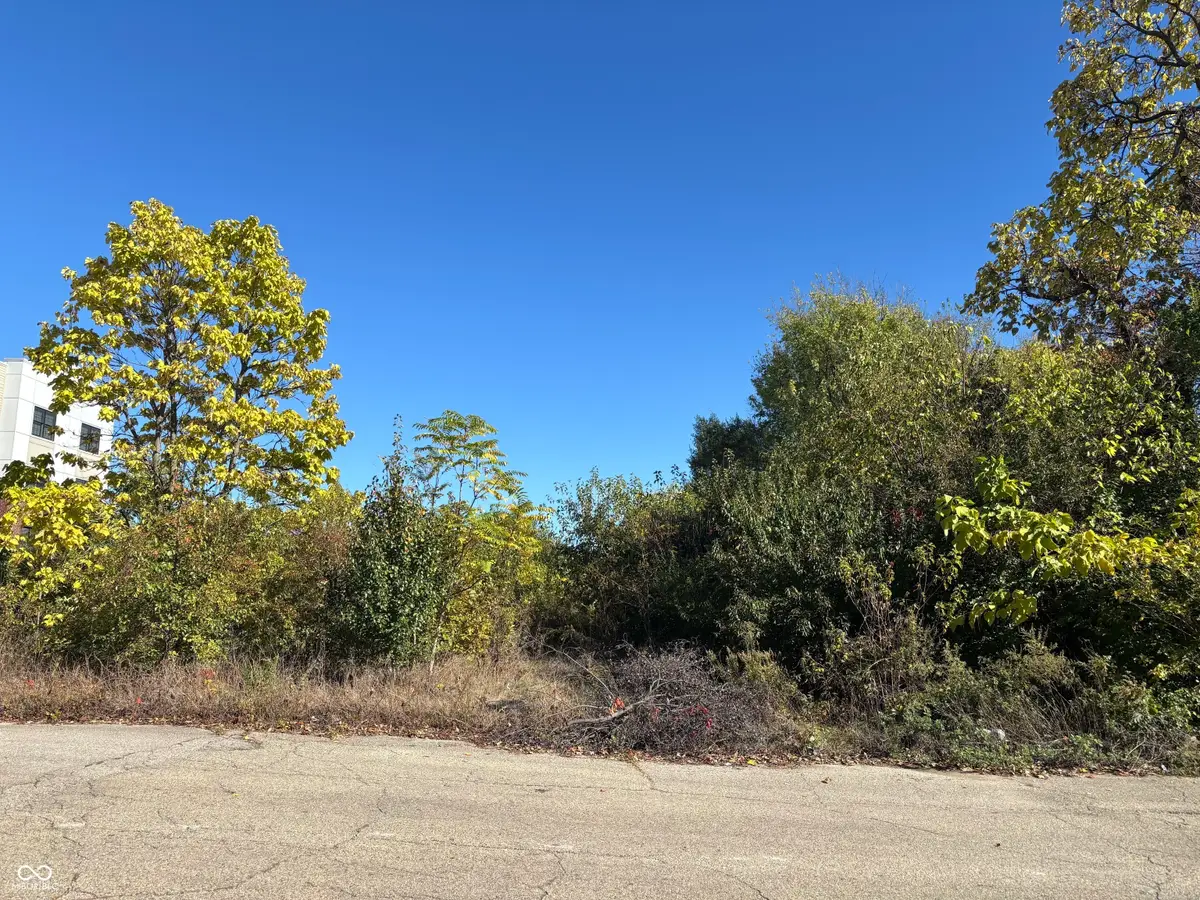 2069 + Yandes, Indianapolis, IN 46202 - Image #1