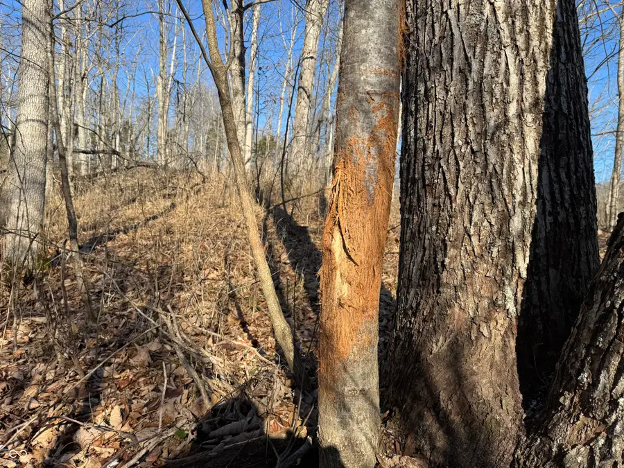 0000 Jack Allen Road, Vevay, IN 47043 - Image #3