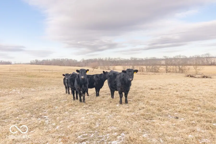 90A*** S County Road 100 E, Lewisville, IN 47352 - Image #3