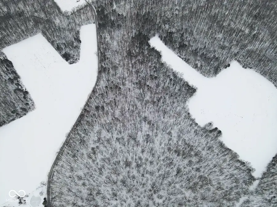 0 Lemon Road, Versailles, IN 47042 - #3