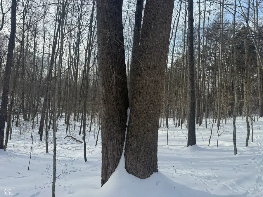 0000 SW Side Morgan Lane, Pekin, IN 47165 - #3