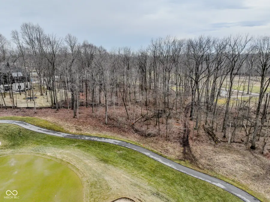 10360 Somerford Ridge, Zionsville, IN 46077 - #3