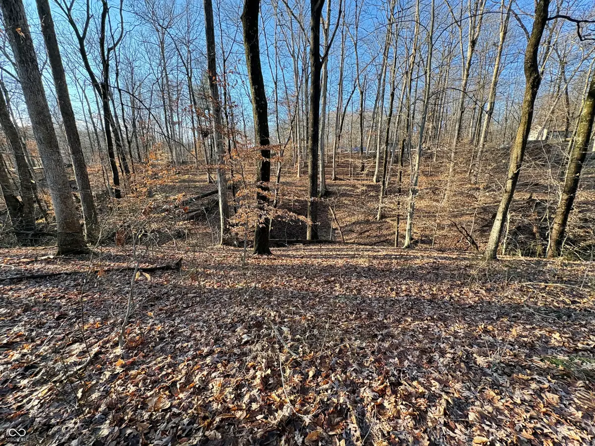 6458 Beaver Drive, Nineveh, IN 46164 - #1