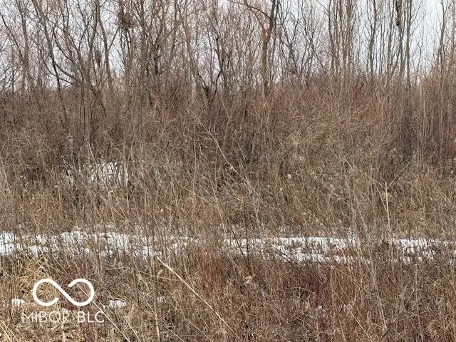 0 300 S, Crawfordsville, IN 47933 - #2